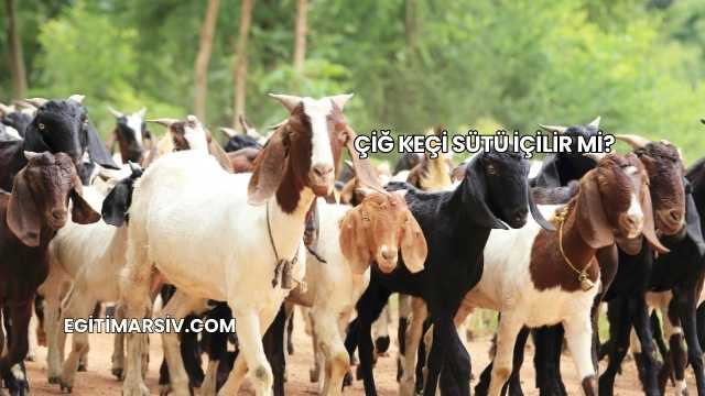 Çiğ Keçi Sütü İçilir mi?