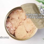 Dardanel Ton İle Ayran İçilir mi?