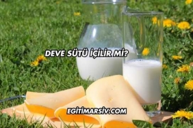 Deve Sütü İçilir mi?