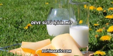 Deve Sütü İçilir mi?