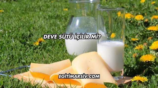 Deve Sütü İçilir mi?