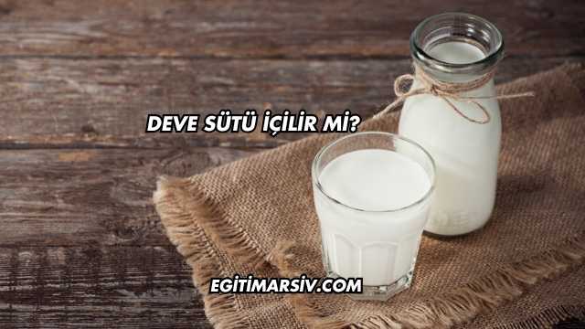 Deve Sütü İçilir mi?