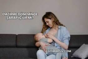 Emzirme Döneminde Şarap İçilir mi?