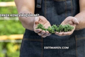 Erkek Kenevir İçilir mi?