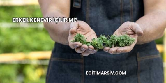 Erkek Kenevir İçilir mi?