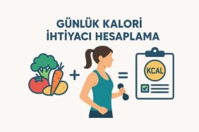 Günlük Kalori İhtiyacı Hesaplama