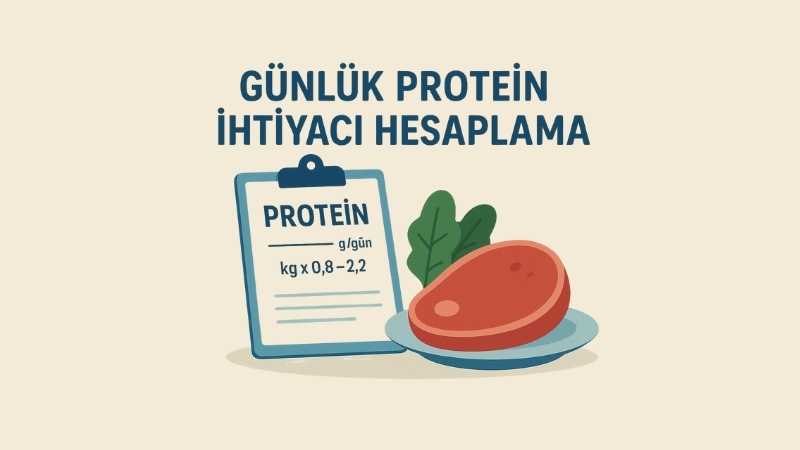 Günlük Protein İhtiyacı Hesaplama