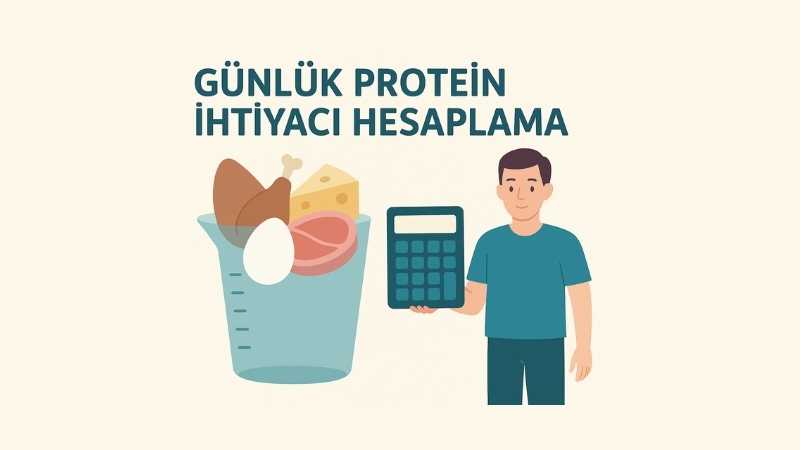Günlük Protein İhtiyacı Hesaplama
