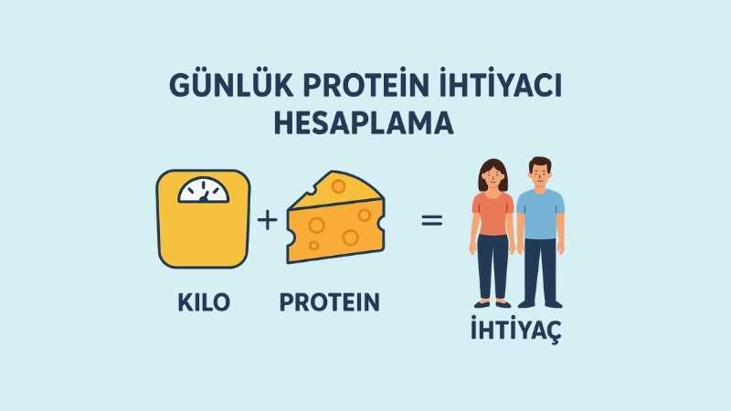 Günlük Protein İhtiyacı Hesaplama