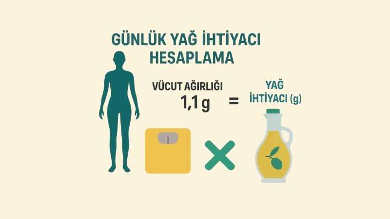 Günlük Yağ İhtiyacı Hesaplama