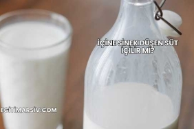 İçine Sinek Düşen Süt İçilir mi?