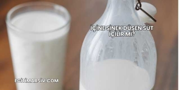 İçine Sinek Düşen Süt İçilir mi?