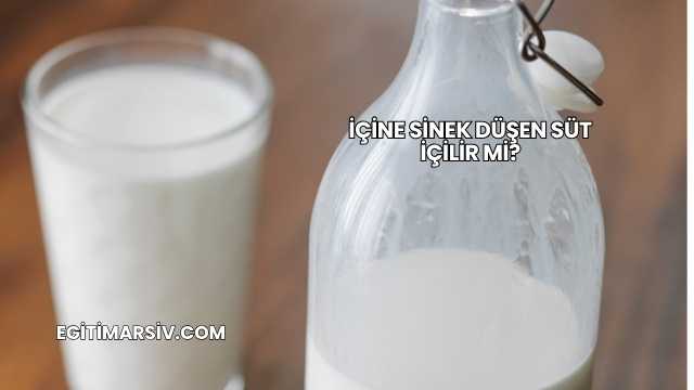 İçine Sinek Düşen Süt İçilir mi?