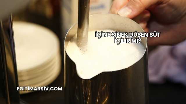 İçine Sinek Düşen Süt İçilir mi?