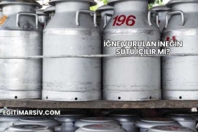 İğne Vurulan İneğin Sütü İçilir mi?