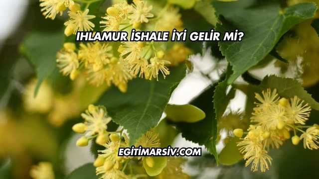 Ihlamur İshale İyi Gelir mi?