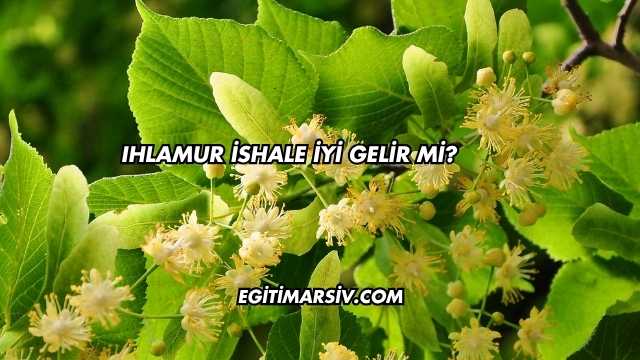 Ihlamur İshale İyi Gelir mi?