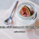 İncir Sütü Egzamaya İyi Gelir mi?