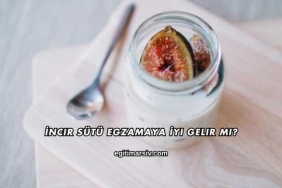 İncir Sütü Egzamaya İyi Gelir mi?