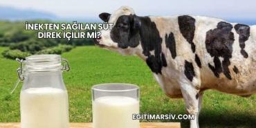 İnekten Sağılan Süt Direk İçilir mi?