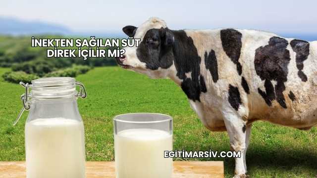 İnekten Sağılan Süt Direk İçilir mi?