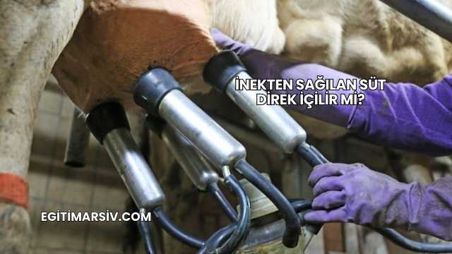 İnekten Sağılan Süt Direk İçilir mi?