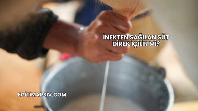 İnekten Sağılan Süt Direk İçilir mi?