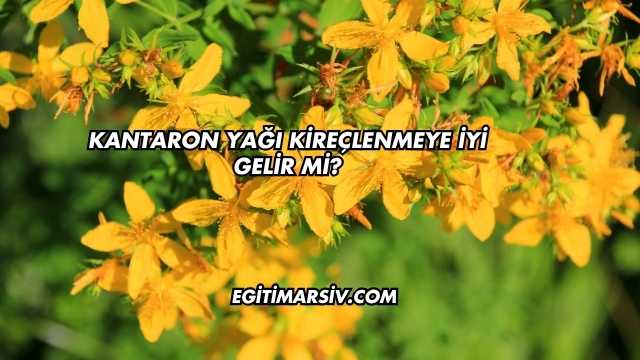Kantaron Yağı Kireçlenmeye İyi Gelir mi?