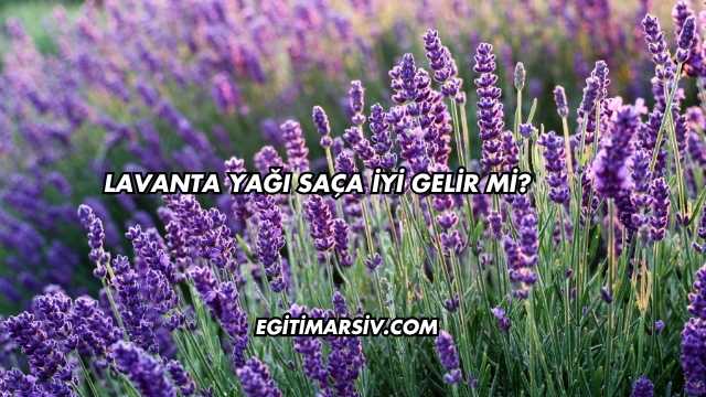 Lavanta Yağı Saça İyi Gelir mi?
