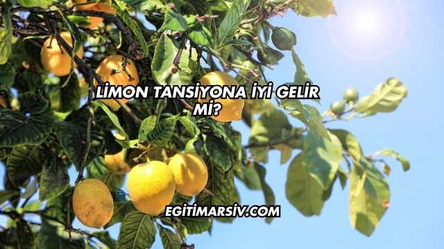 Limon Tansiyona İyi Gelir mi?