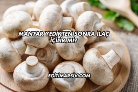 Mantar Yedikten Sonra İlaç İçilir mi?