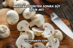 Mantar Yedikten Sonra Süt İçilir mi?