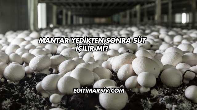 Mantar Yedikten Sonra Süt İçilir mi?