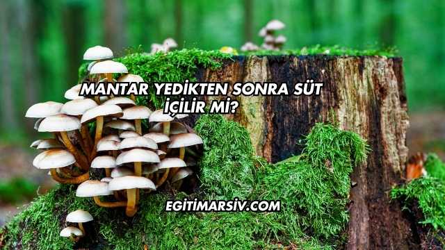 Mantar Yedikten Sonra Süt İçilir mi?
