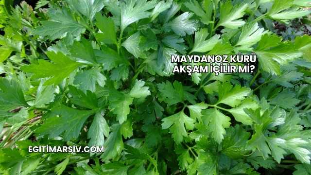 Maydanoz Kürü Akşam İçilir mi?