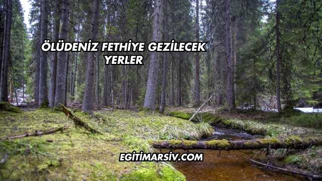 Ölüdeniz Fethiye Gezilecek Yerler