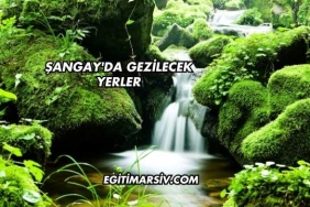Şangay'da Gezilecek Yerler