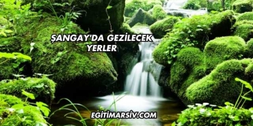 Şangay'da Gezilecek Yerler