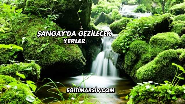 Şangay'da Gezilecek Yerler