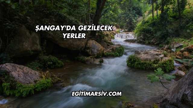 Şangay'da Gezilecek Yerler
