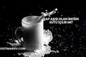 Şap Aşısı Olan İneğin Sütü İçilir mi?