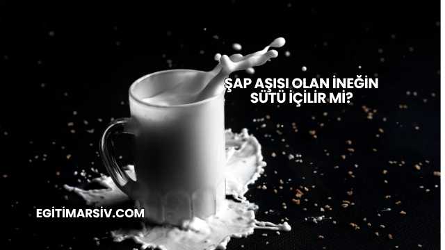 Şap Aşısı Olan İneğin Sütü İçilir mi?