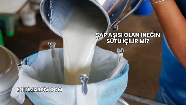 Şap Aşısı Olan İneğin Sütü İçilir mi?