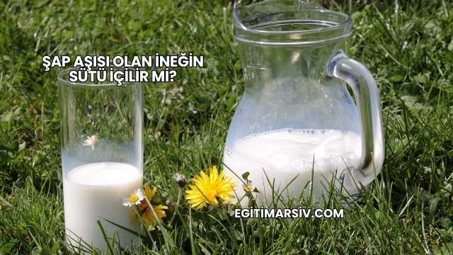 Şap Aşısı Olan İneğin Sütü İçilir mi?