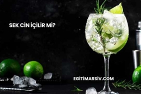 Sek Cin İçilir mi?