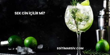Sek Cin İçilir mi?