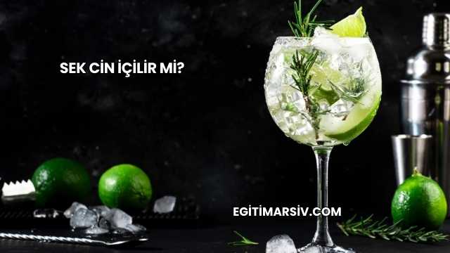 Sek Cin İçilir mi?