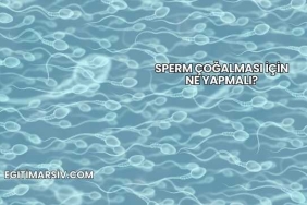 Sperm Çoğalması İçin Ne Yapmalı?
