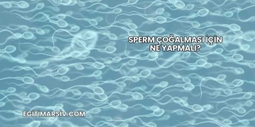 Sperm Çoğalması İçin Ne Yapmalı?