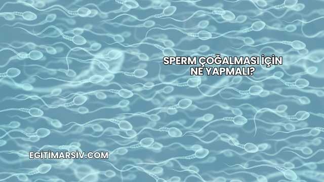 Sperm Çoğalması İçin Ne Yapmalı?